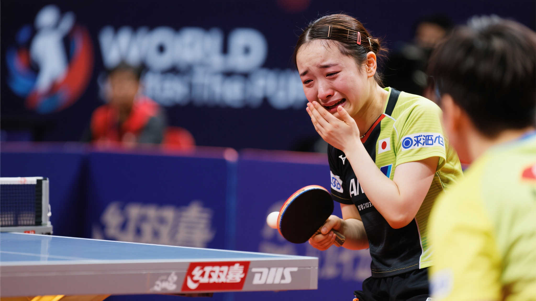 也为年轻球 也为年轻球