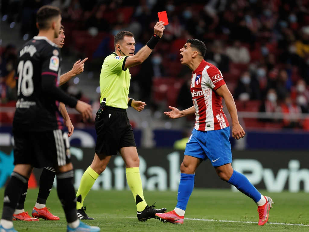 莱昂纳多在 莱昂纳多在